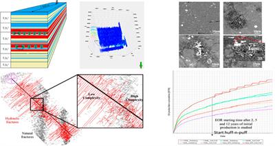 Application, Prospect, and Challenge of Small-Spacing Stereo-Staggered Well Pattern Deployment Technology in the Shale Oil Reservoir